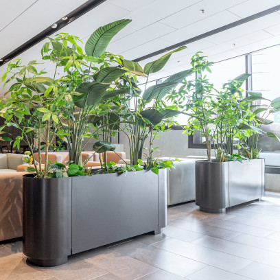 Jungle Flora Grand Wall