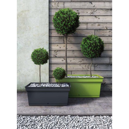 Teraplast 78x38x34cm lovelis su lėkštele Aqua 78, kedro spalvos