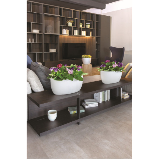 Nicoli 50x29x23cm lovelis Athena 50 baltas