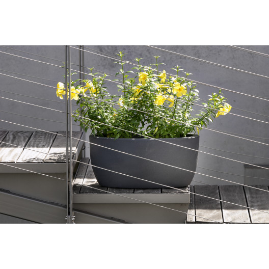 Nicoli 50x29x23cm lovelis Athena 50 antracito spalvos