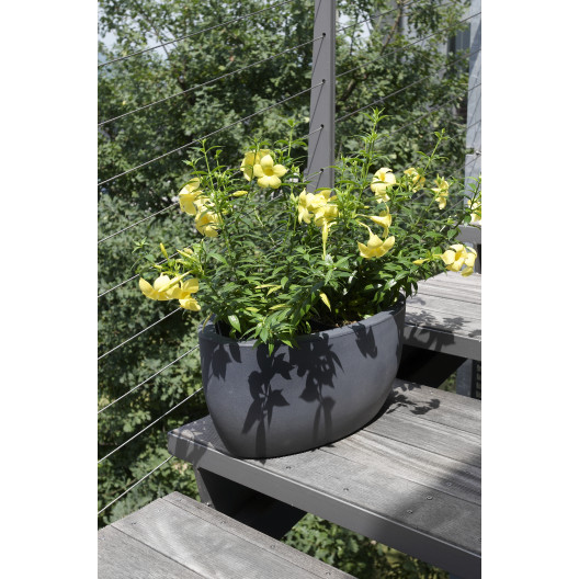 Nicoli 50x29x23cm lovelis Athena 50 antracito spalvos