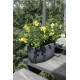 Nicoli 50x29x23cm lovelis Athena 50 antracito spalvos