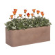 Nicoli 50x20x18cm lovelis Calypso Matt 50 tabako spalvos