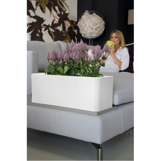 Nicoli 50x20x18cm lovelis Calypso Matt 50 baltos spalvos