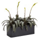 Nicoli 50x20x18cm lovelis Calypso Matt 50 antracito spalvos