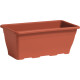 Nicoli 60x20x16cm lovelis Domus 60 molio spalvos