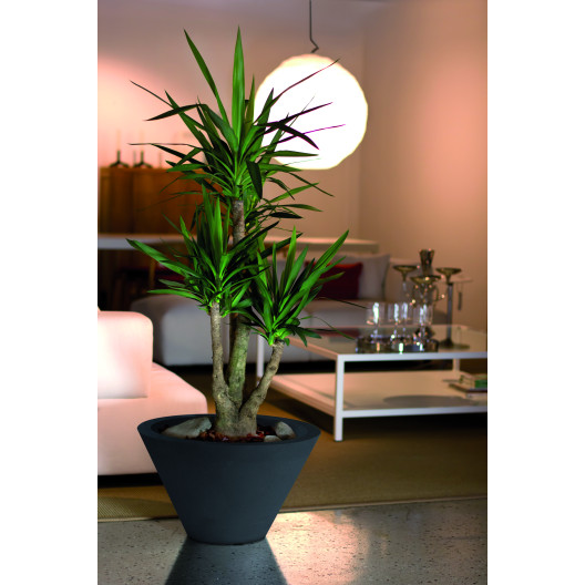 Nicoli ø60x36cm vazonas Chiron 60 antracito spalvos