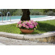 Nicoli Ø30x15cm dubuo Ciotolone 30 molio spalvos