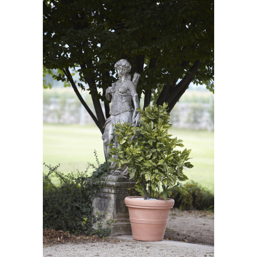 Nicoli ø55x45cm vazonas Doppio Bordo Liscio 55 molio spalvos
