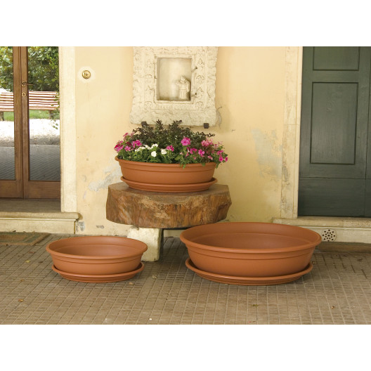 Marchioro dubuo Ebla 20 molio spalvos