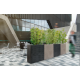 Nicoli 80x30x75cm lovelis Elegance Separe 80 pelenų spalvos