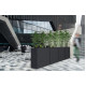 Nicoli 80x30x75cm lovelis Elegance Separe 80 antracito spalvos