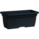 Nicoli 62x32x28cm lovelis Cassetta Mega 60, antracito spalvos