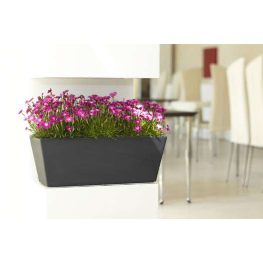 Nicoli 50x20x18cm lovelis Mysia 50 antracito spalvos
