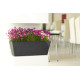 Nicoli 50x20x18cm lovelis Mysia 50 antracito spalvos