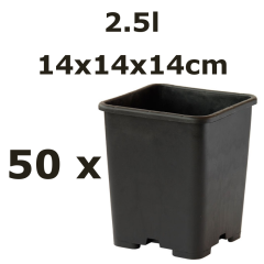 2,5L vazonas QUADRO 14x14x14, 50vnt.