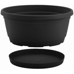 Nicoli Ø25x12cm dubuo su lėkštele Rumba 25 antracito spalvos