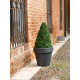 Tera ø100x90cm vazonas Standard One 100, antracito spalvos