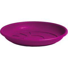 Nicoli Ø24x3.7cm lėkštelė Domus 24 avietės spalvos