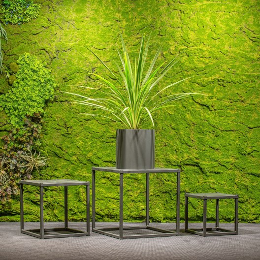 Jungle Flora metalinių pakylų komplektas CUBE 30+40+50