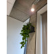 Jungle Flora 220x22cm pakabinama lentyna Garden X4