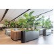 Jungle Flora 190x42x74cm metalinis vazonas GRAND Wall 1900