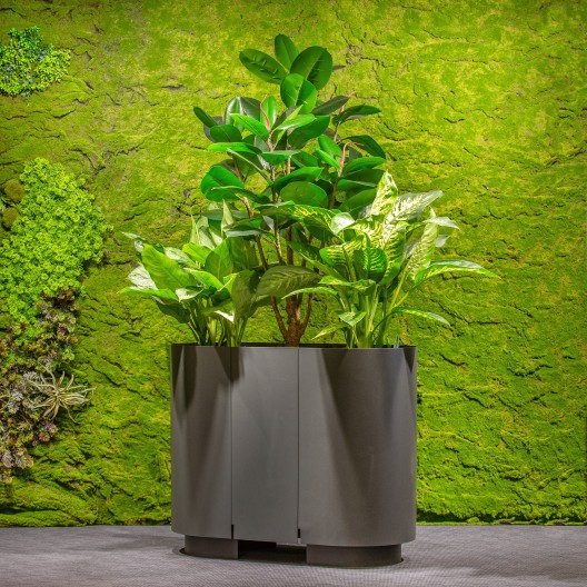 Jungle Flora 90x42x74cm metalinis vazonas GRAND Wall 900