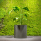 Jungle Flora ø60x60cm metalinis vazonas Riverside Base 600