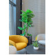 Jungle Flora ø60x60cm metalinis vazonas Riverside Base 600