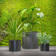 Jungle Flora ø40x35cm metalinis vazonas Riverside Base 400