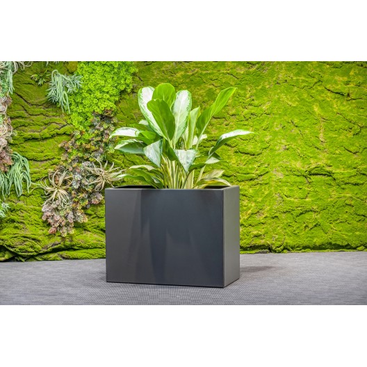 Jungle Flora 65x27x50cm metalinis vazonas Siena 65