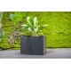 Jungle Flora 65x27x50cm metalinis vazonas Siena 65