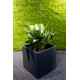 Jungle Flora 44x44x44cm metalinis vazonas Siena Cubo 44