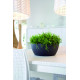 Nicoli ø50x20cm dubuo Thetis 50 antracito spalvos