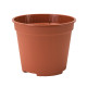 Nicoli 10x8cm 0,38l vazonas VASO FAST, rudas