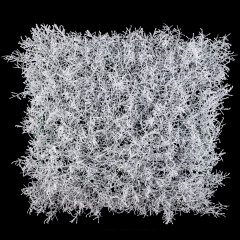 Baltųjų samanų sienos segmentas, 50x50cm