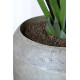 fleur ami Ø50x100cm vazonas Cigar vase 50, gray