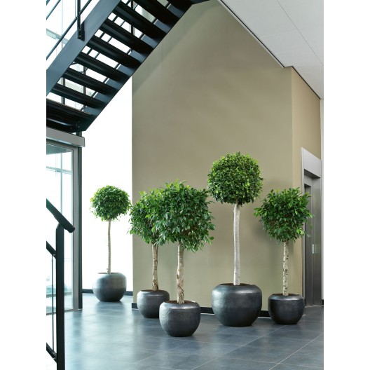 fleur ami Ø68x55cm vazonas Loft Floor 68, black iron