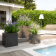 fleur ami 50x50x54cm vazonas Roccastone cube 50, anthracite