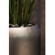 fleur ami Ø34x117cm vazonas Royal Luna 117, champagne rosé