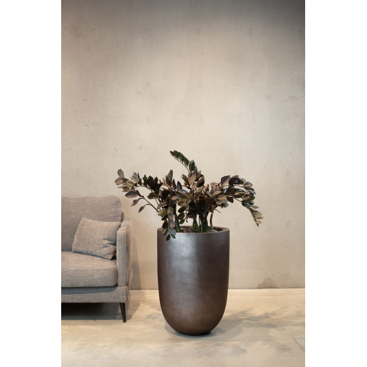 fleur ami Ø46x67cm vazonas Royal 67, champagne rose