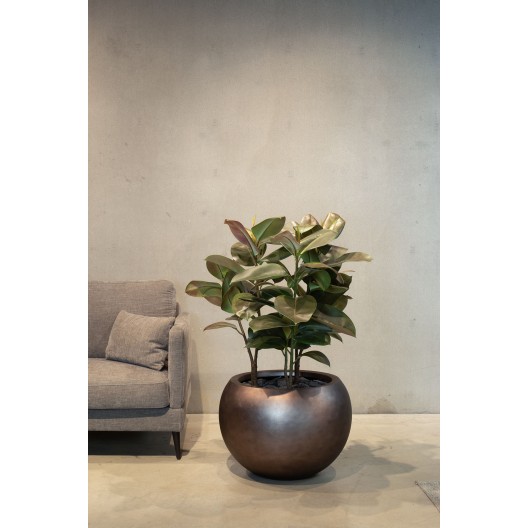 fleur ami Ø60x43cm vazonas Royal Globe 60, champagne rosé