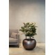 fleur ami Ø60x43cm vazonas Royal Globe 60, champagne rosé