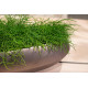 fleur ami 48x22x17cm lovelis Royal Table Vase, champagne rose
