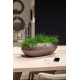 fleur ami 48x22x17cm lovelis Royal Table Vase, champagne rose