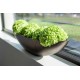 fleur ami 65x13x15cm vaza Royal Boat, champagne rose